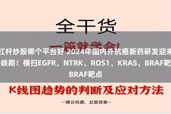 杠杆炒股哪个平台好 2024年国内外抗癌新药研发迎来井喷期！横扫EGFR、NTRK、ROS1、KRAS、BRAF靶点