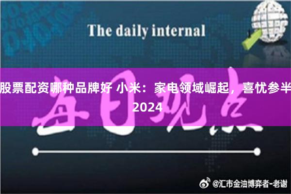 股票配资哪种品牌好 小米：家电领域崛起，喜忧参半 2024