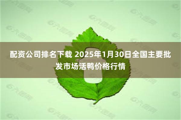 配资公司排名下载 2025年1月30日全国主要批发市场活鸭价格行情