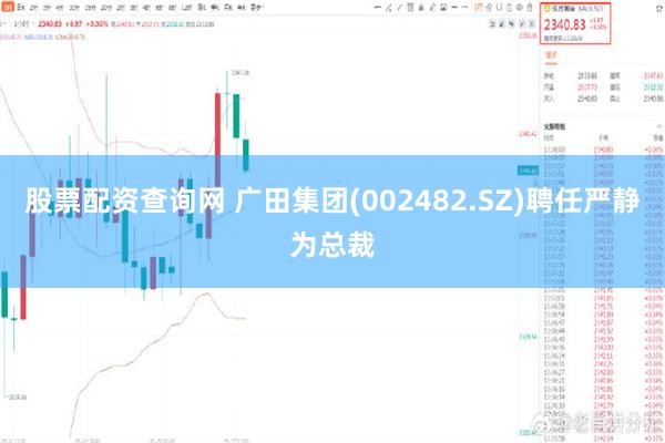 股票配资查询网 广田集团(002482.SZ)聘任严静为总裁